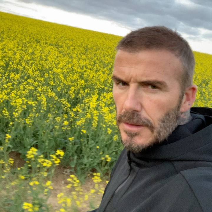 gejem