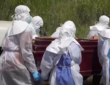 epidemia ebola