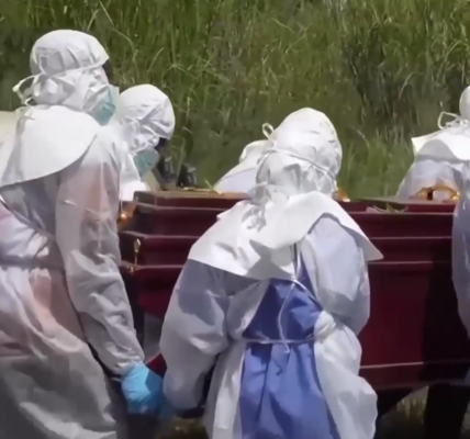 epidemia ebola