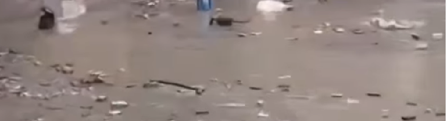 powódź w turcji