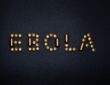 ebola w Polsce