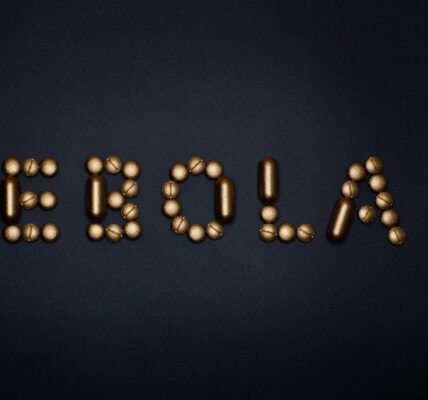 ebola w Polsce