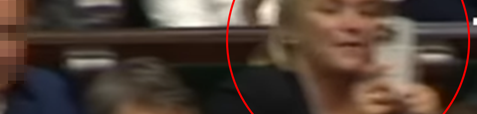 chorosińska szczekanie w sejmie