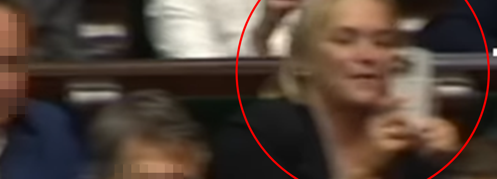 chorosińska szczekanie w sejmie