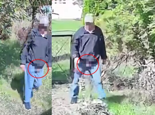 ekshibicjonista fistaszkiem na wierzchu