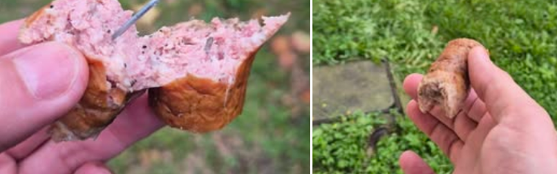 kiełbasa z gwoździami