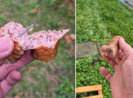kiełbasa z gwoździami