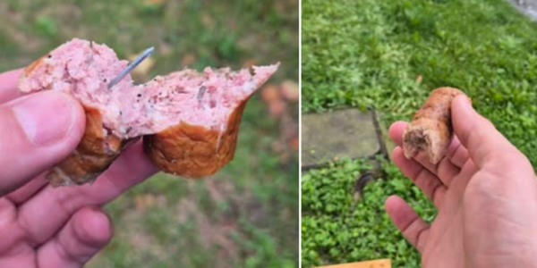 kiełbasa z gwoździami