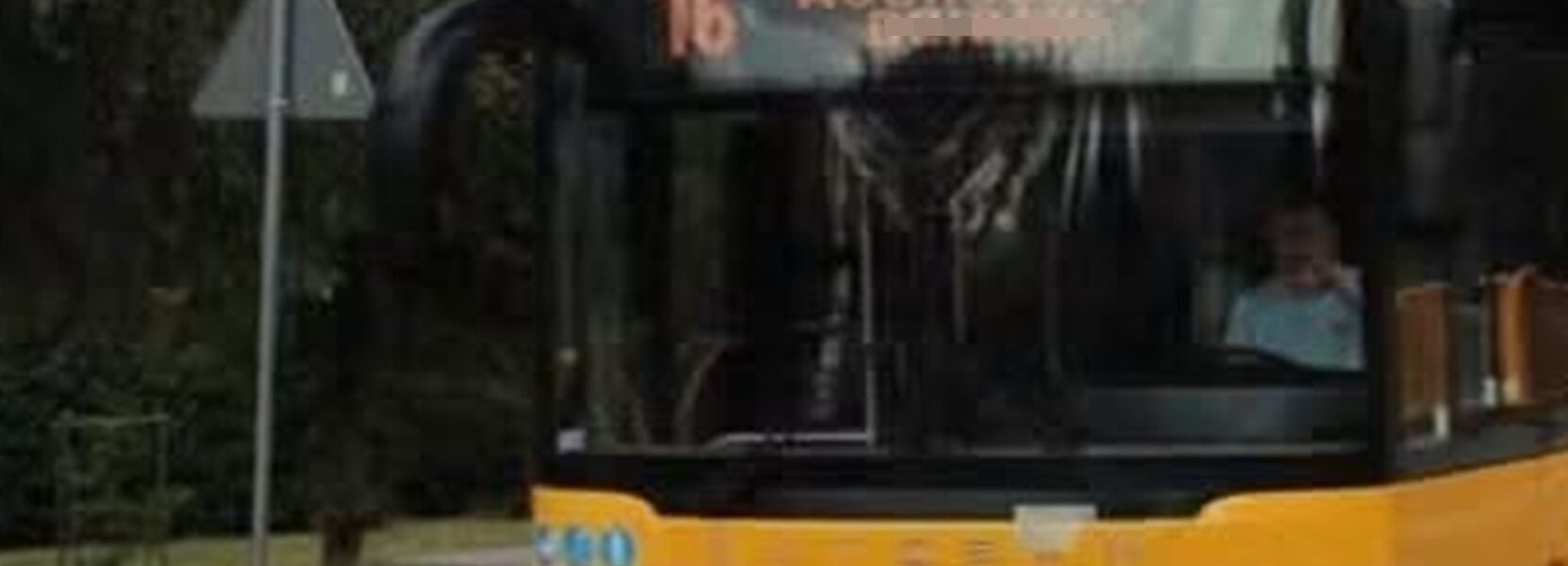 autobus wypadek