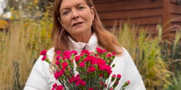 Katarzyna Dowbor Miszczak