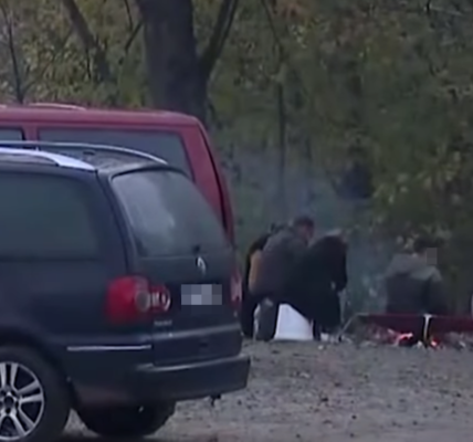 rumuńscy grzybiarze